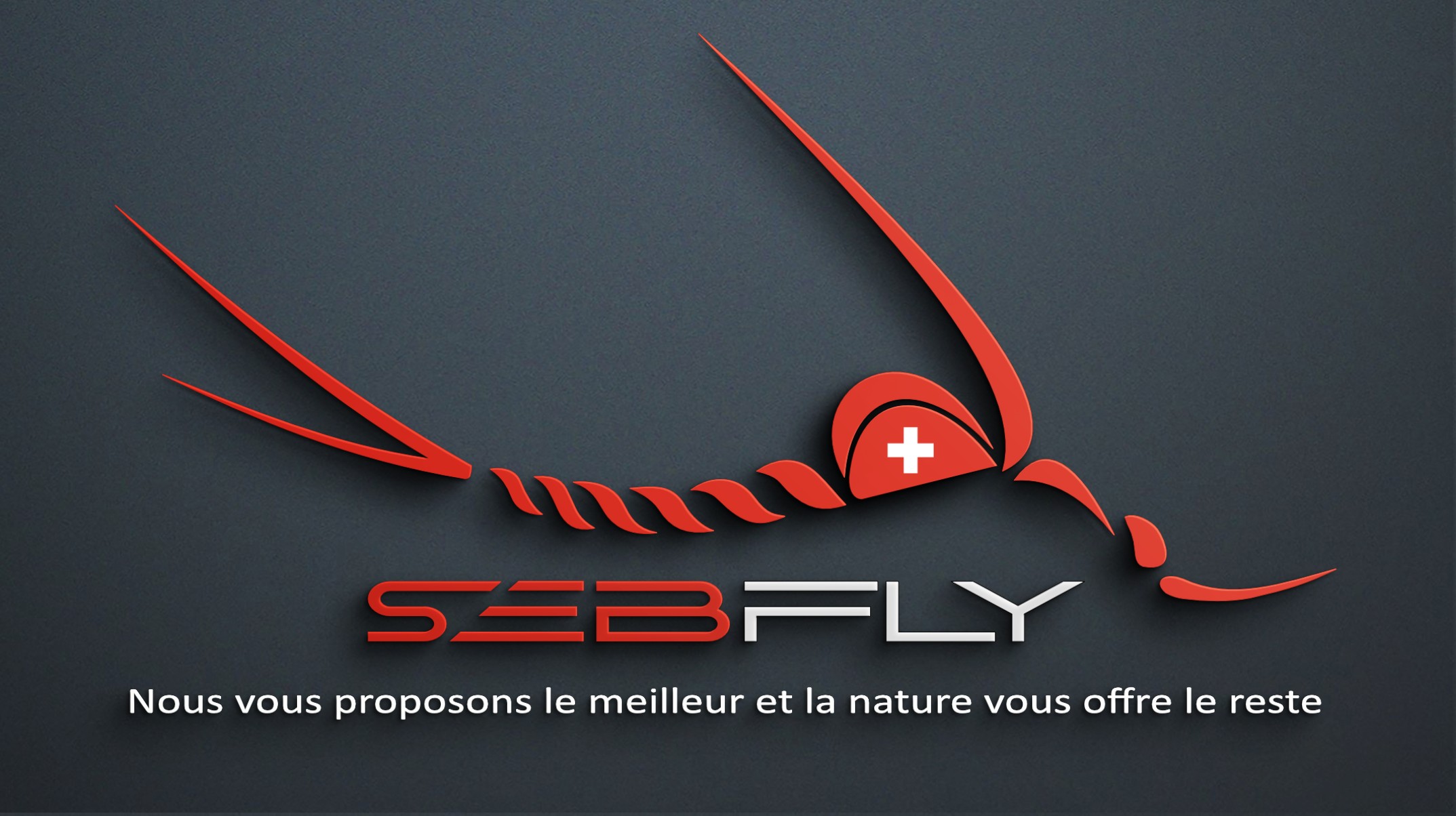 Simple and Modern 3D Logo Mockup sebfly.ch - logo sebfly - fly fishing - pêche à la mouche - mpontage de mouche - moniteur suisse pêche à la mouche